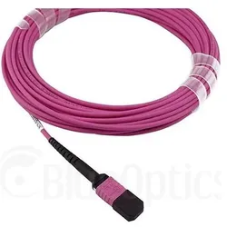 BlueOptics Cisco CB-M12-M12-MMF50M kompatibles MPO-MPO Multimode OM4 Patchkabel 50 Meter (50 m), Netzwerkkabel