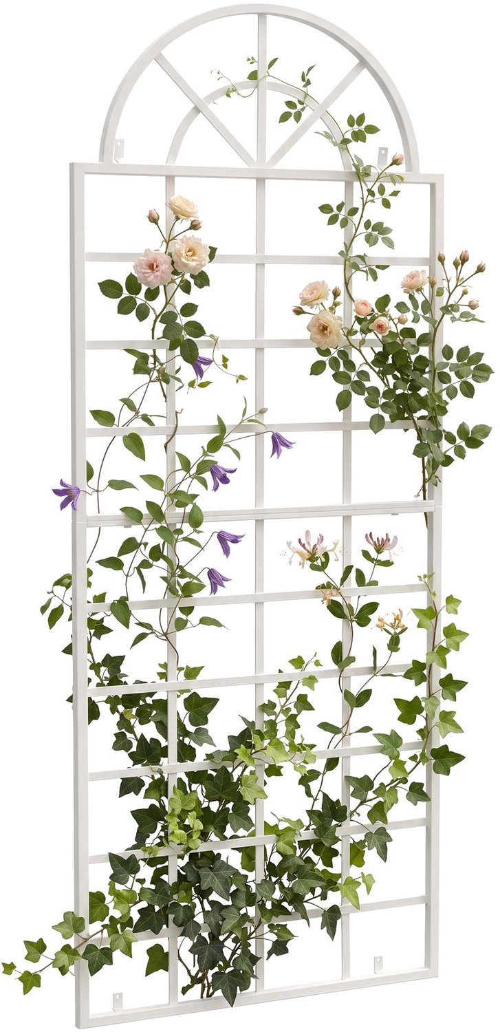 CLP Plantenklimrek Viva Wandmontage voor Rozen en Klimop - Wit