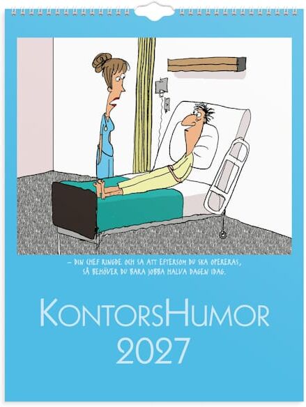 Burde VÃ¤ggkalender Kontorshumor 2027