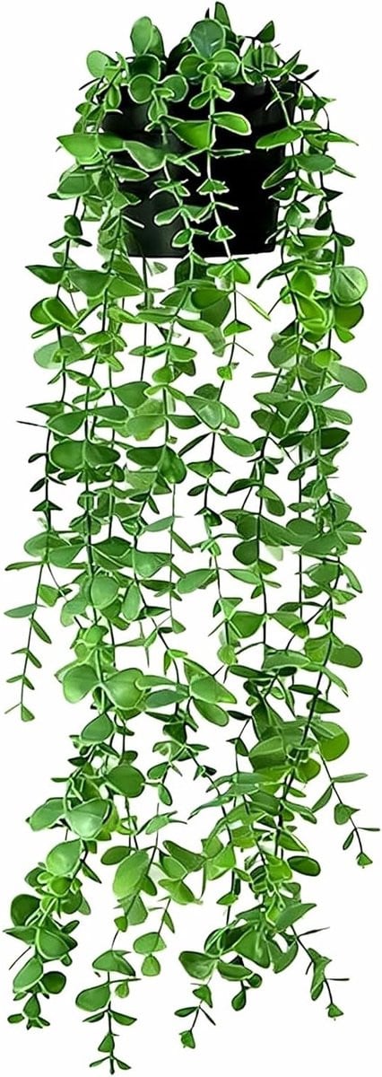Eucalyptus Kunstplant Hangplant voor Wanddecoratie en Woonkamer