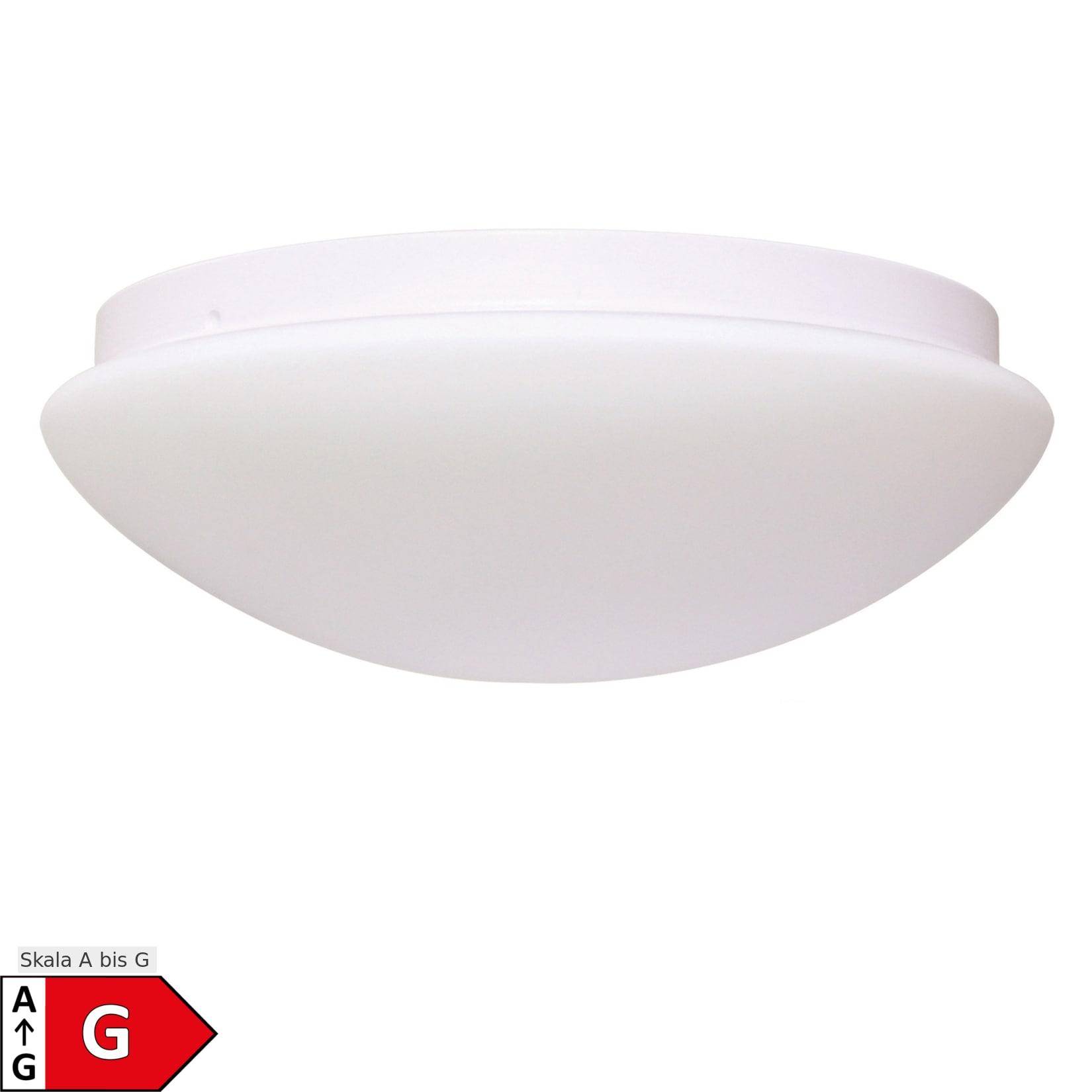 Näve LED Wand-/Deckenleuchte "BEN" Ø:29cm