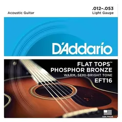 D'Addario EFT 16 (Gitarre), Saiten