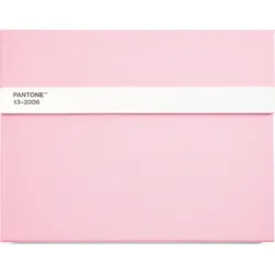 Pantone Skizzenbuch mit Bleistift L 160 Seiten hellrosa liniert 100 g/m2