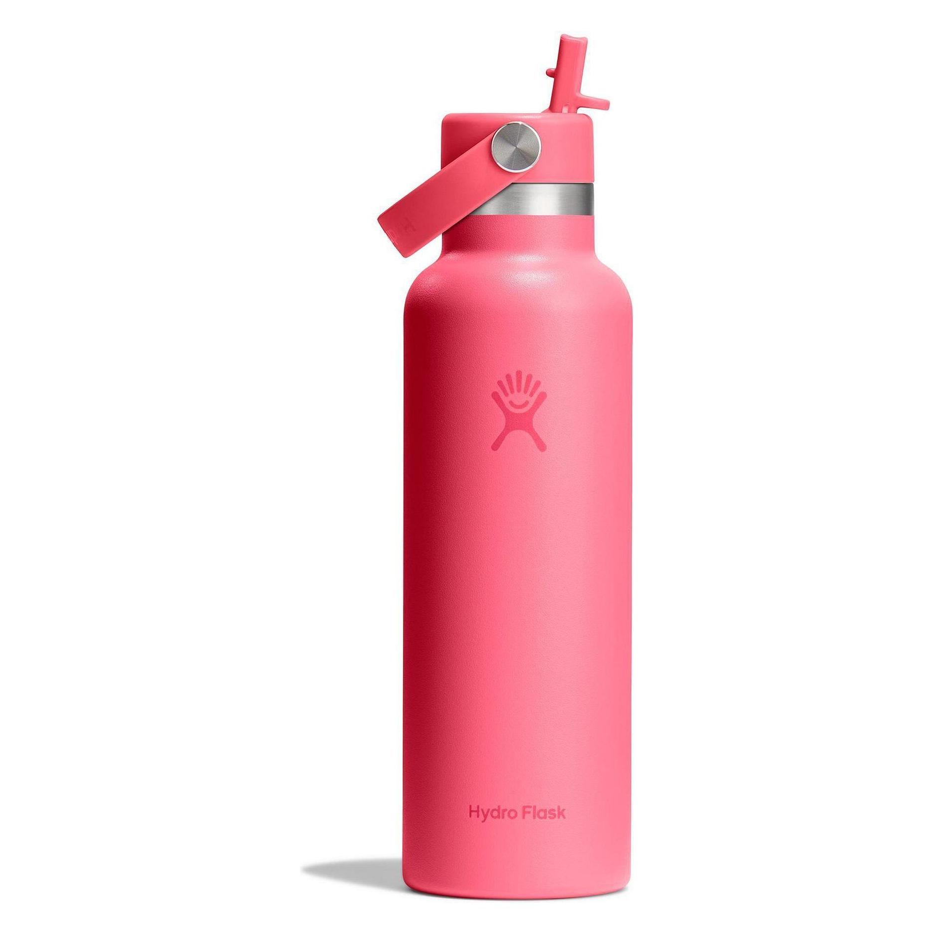 Hydro Flask Trinkflasche Standard Flex Deckel mit Strohhalm (0.62 l) (S21CFS668)