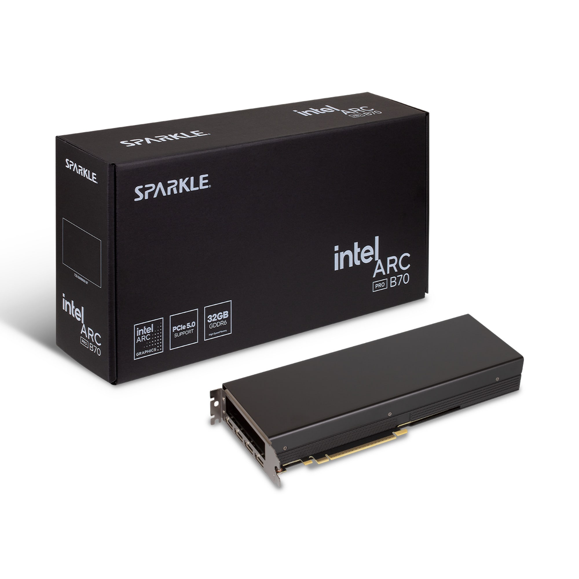 SPARKLE Intel Arc Pro B70 Grafikkarte 32 GB Passiv