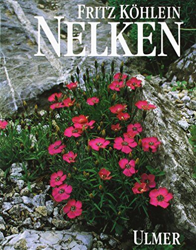 Fritz Kohlein - Nelken - Preis vom 30.09.2026 09:01:18 h