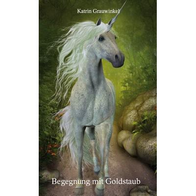 Begegnung mit Goldstaub, Taschenbuch von Katrin Grauwinkel, Rediroma-Verlag, 978-3-96103-484-0