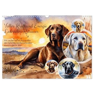 Voller Kraft und Energie - Labrador-Retriever (Wandkalender 2027 DIN A3 quer), CALVENDO Monatskalender