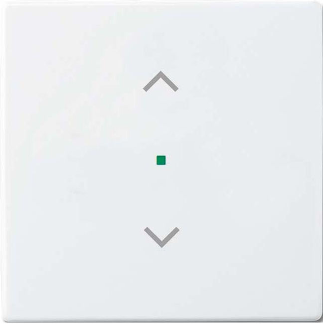 Busch-Jaeger Interrupteur bascule 1-f symbole volet roulant studioweiß 6232-10-84 (2CKA006220A0040)