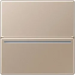 Jung Hotelcard-Schalter A CARD RFID CH