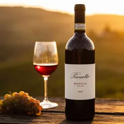 Prunotto 2020 Prunotto Barolo 2020 Nebbiolo Italien