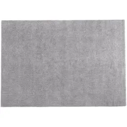 SHAGGY-TEPPICH Demre 230/160 cm