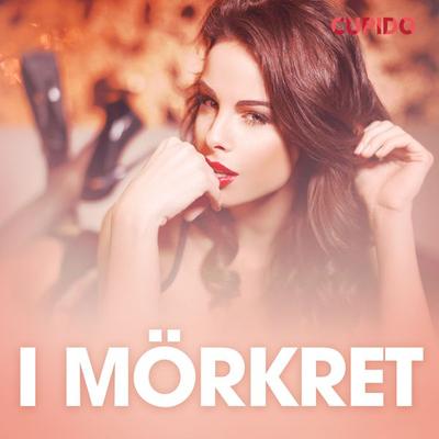 I mörkret – erotisk novell - Cupido, Audio, 9788726819069