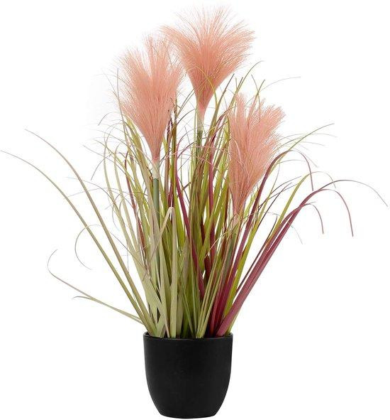 Ibenzoa Kunstpampasgras met zwarte plastic pot