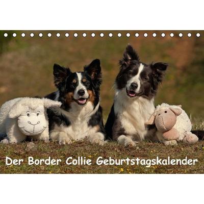 Der Border Collie Geburtstagskalender (Tischkalender immerwährend DIN A5 quer)