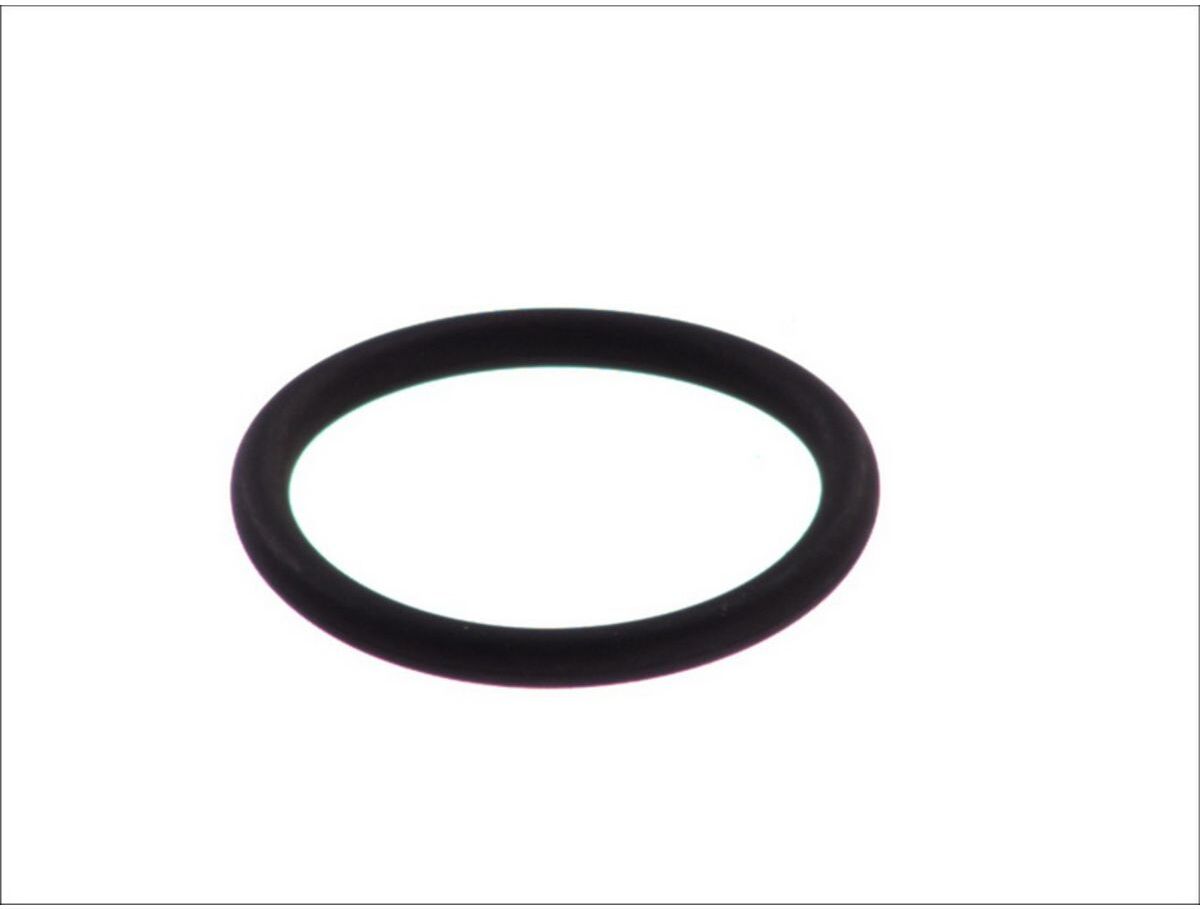 Gummi-O-Rings LEMA LE127020
