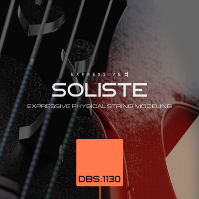 Expressive E Soliste DBS 1130 Double Bass
