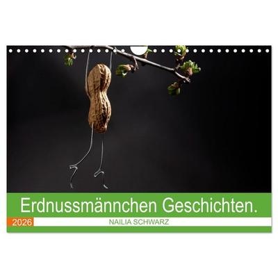 Erdnussmännchen Geschichten. (Wandkalender 2026 DIN A4 quer), CALVENDO Monatskalender