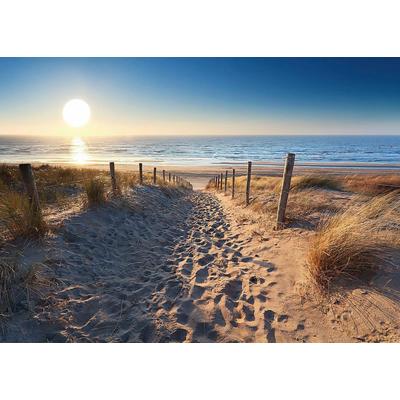 Deco-Panel REINDERS "Dünenweg zum Meer", blau (farbe bild(er): blau, natur), B:100cm H:140cm, Hartfaserplatte, MDF, Bilder
