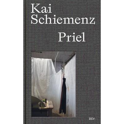 Kai Schiemenz – Priel, Gebundene Ausgabe von Stefan Klein,Knut Ebeling,Kerstin Wahala, Dr. Cantz’sche Verlagsgesellschaft mbH & Co. KG,