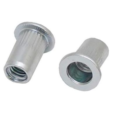RS PRO Blind Niet, Grau, Ø 12.9mm x 21.5mm, Stahl (2065505)