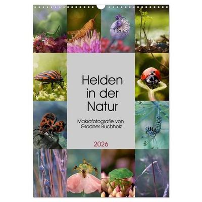 Helden in der Natur (Wandkalender 2026 DIN A3 hoch), CALVENDO Monatskalender