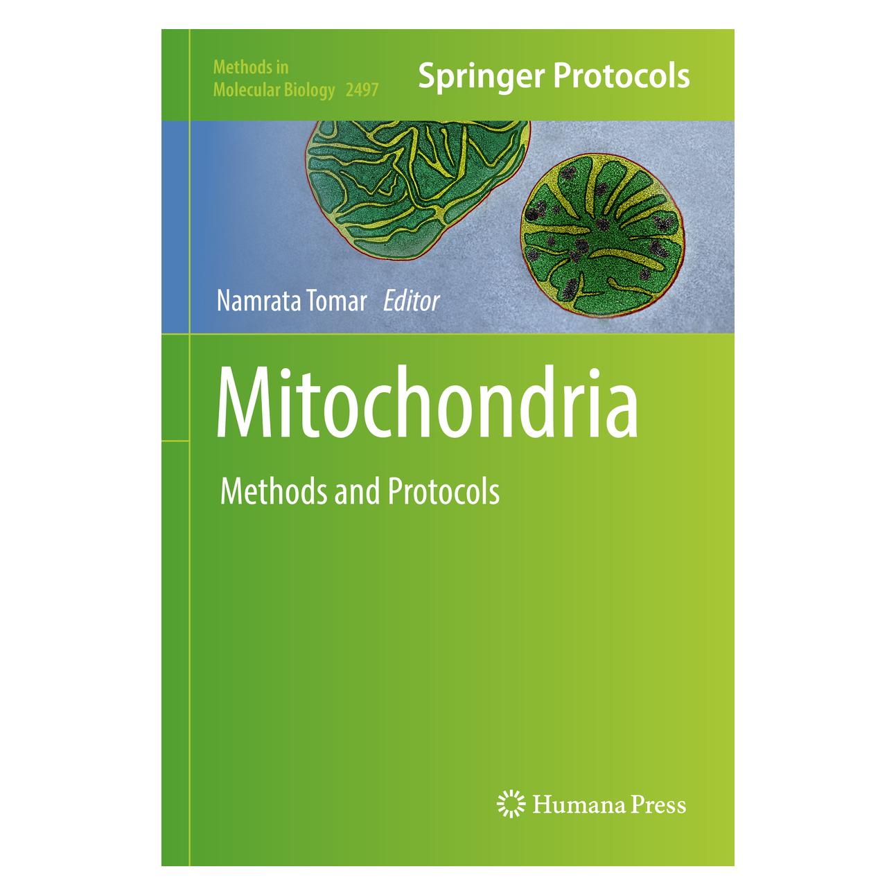 Springer Mitochondria (Englisch, Hardcover, Namrata Tomar) (9781071623084)