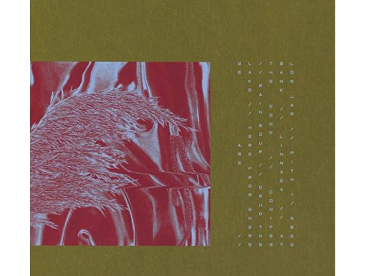 Pariah - Here From Where We Are