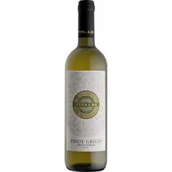 Pinot Grigio Delle Venezie 2025 - Vivaldi