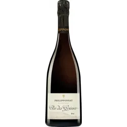 Clos des Goisses Champagne Philipponnat 2014