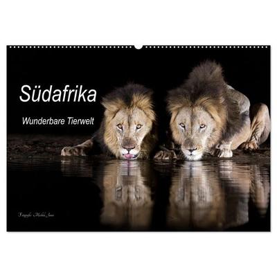 Südafrika wunderbare Tierwelt (Wandkalender 2026 DIN A2 quer), CALVENDO Monatskalender