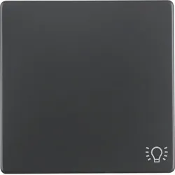 Berker 16206046 Wippe mit Aufdr Symbol Licht Q.x ant