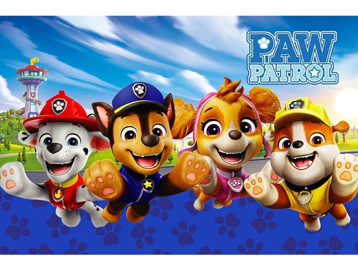 Kinderteppich PAW PATROL 45x70cm