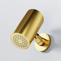 Steinberg Serie 391 Regenbrause, Gold gebürstet 391 5660 BG