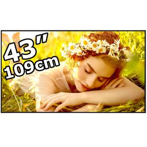 LG Digital-Signage 43UL5Q-E, 43 Zoll, 4K UHD 3840 x 2160, 500 cd/m², 24/7 Betriebszeit