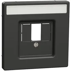Merten Zentralplatte anth rechteck.Ausschnitt MEG4250-6034