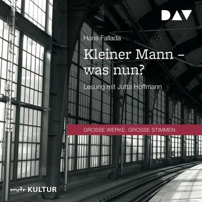 Kleiner Mann – was nun? - Hans Fallada, Audio, 9783742405760
