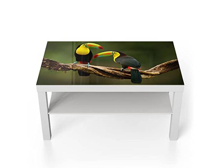 DEQORI Glastisch weiß groß 90x50 cm Motiv Tukan-Pärchen sitzend ausgefallener Beistelltisch aus Glas Hochglanz Couchtisch fürs Wohnzimmer moderner Couch Tisch mit Design