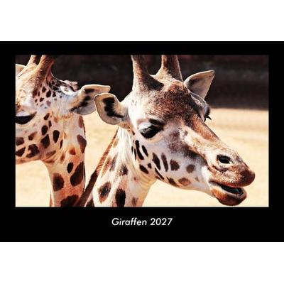 Giraffen 2027 Fotokalender DIN A3