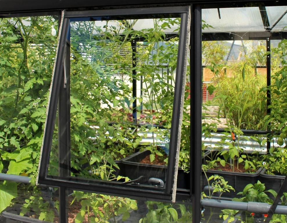 EPHSCHMIDT--AKTIVBANK-- Seitenfenster H ESG 3mm, schwarz 09530653