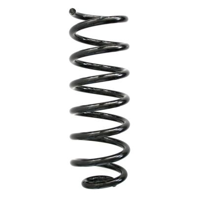 SPIDAN Fahrwerksfeder 86704 Hinterachse für Audi