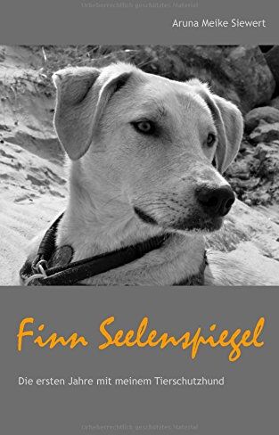 Siewert, Aruna Meike - Finn Seelenspiegel: Die ersten Jahre mit meinem Tierschutzhund - Preis vom 01.10.2026 17:08:56 h