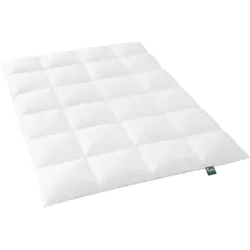 f.a.n. Frankenstolz Bettdecke Daunen Kassettenbett Alaska 200x200 cm Warm