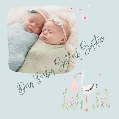 Das Baby Schlaf System - Das Baby Schlaf System, Audio, 4066339243804