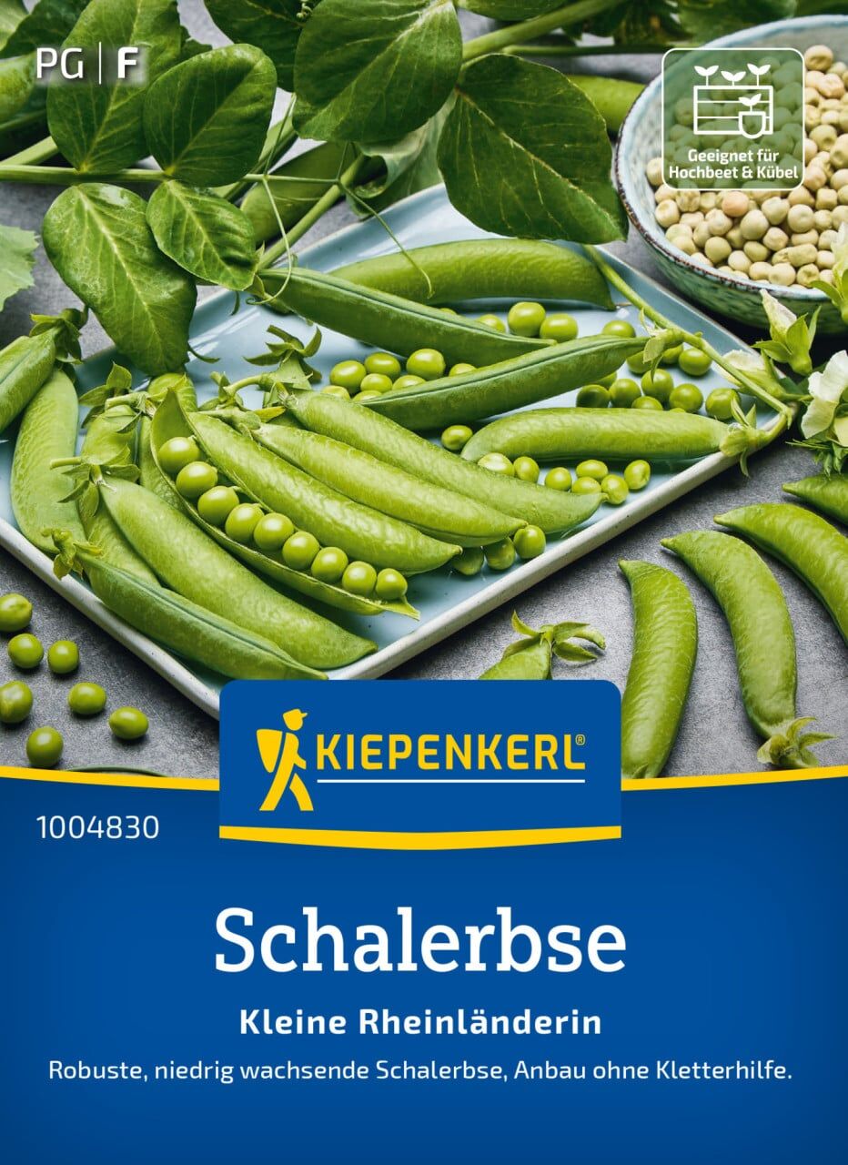 Kiepenkerl Saatgut Schalerbsen Kleine Rheinländerin für ca. 2,4 – 4 m²