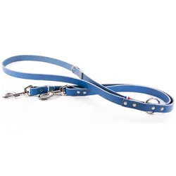 Martin Sellier 499 (Hund, Spazieren), Halsband + Leine