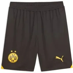 PUMA Herren Shorts BVB Shorts Replica, Größe XXL in Grau Grau