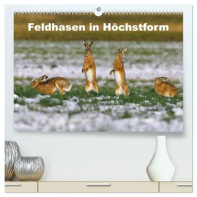 Feldhasen in Höchstform (hochwertiger Premium Wandkalender 2027 DIN A2 quer), Kunstdruck in Hochglanz