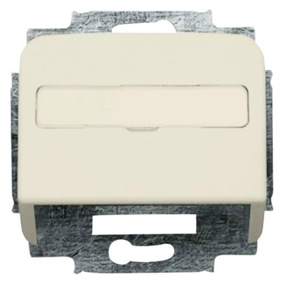Busch-Jaeger Zentralscheibe mit Tragring 2CKA001724A1002 (2CKA001724A1002)