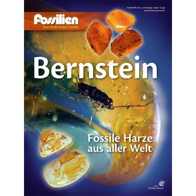 Bernstein, Geheftet von , Quelle & Meyer, 978-3-494-01583-5